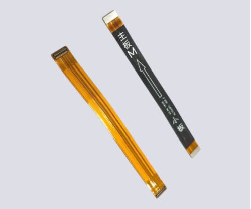 Y7 2019